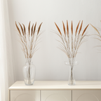 Bouquet of Pampas 7 stems 80 cm