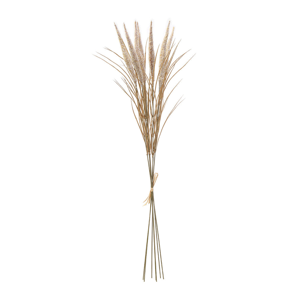 Bouquet of Pampas 7 stems 80 cm