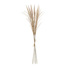 Bouquet of Pampas 7 stems 80 cm