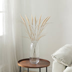 Bouquet of Pampas 7 stems 80 cm