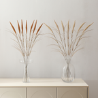 Bouquet of Pampas 7 stems 80 cm