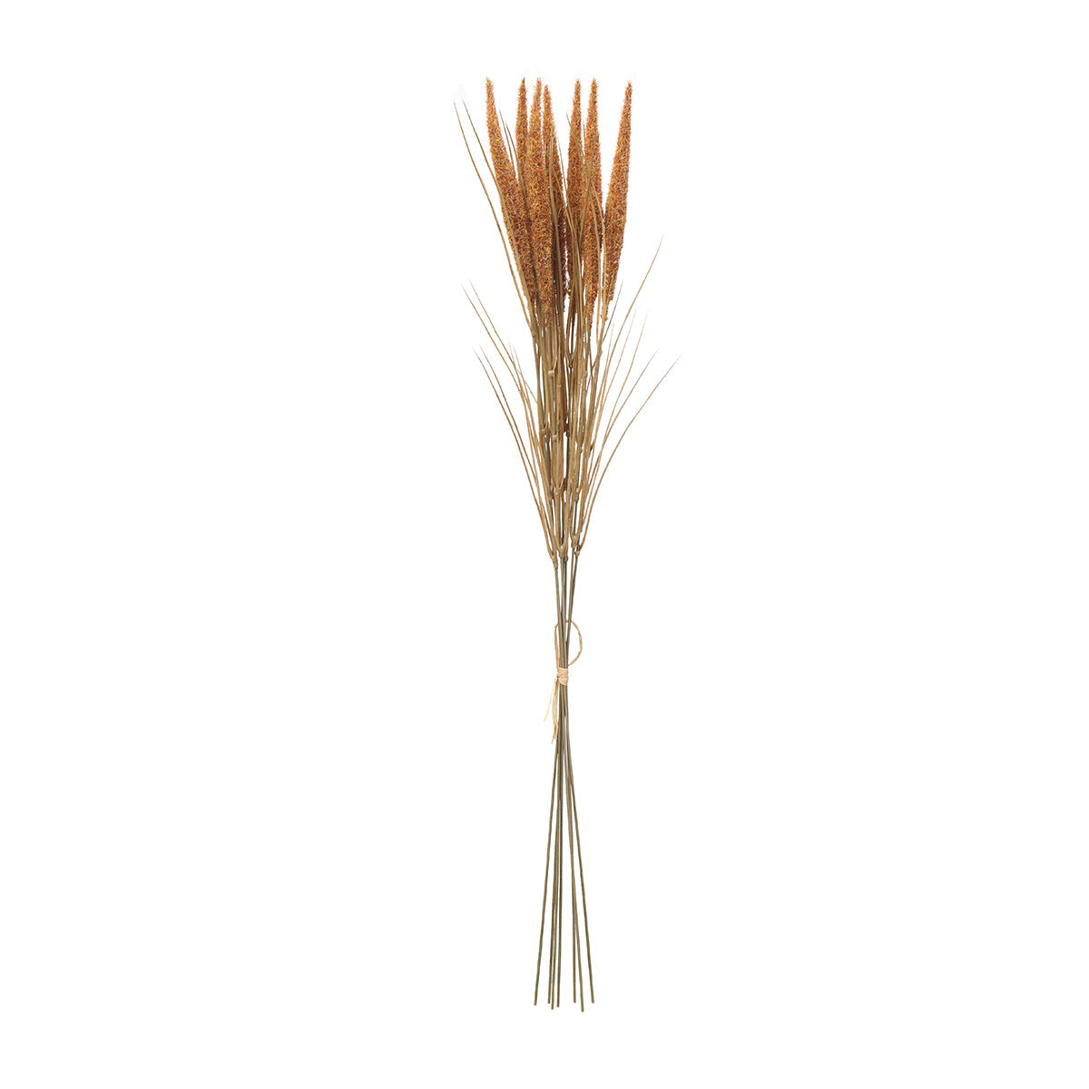 Bouquet of Pampas 7 stems 80 cm