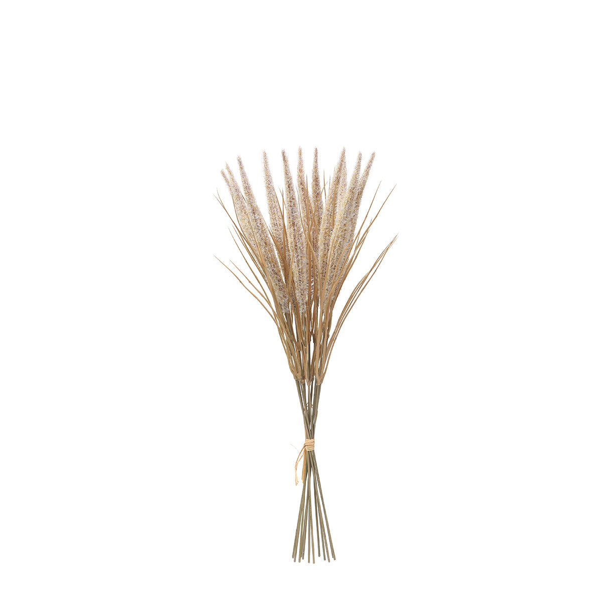 Bouquet of Pampas 12 stems 50 cm