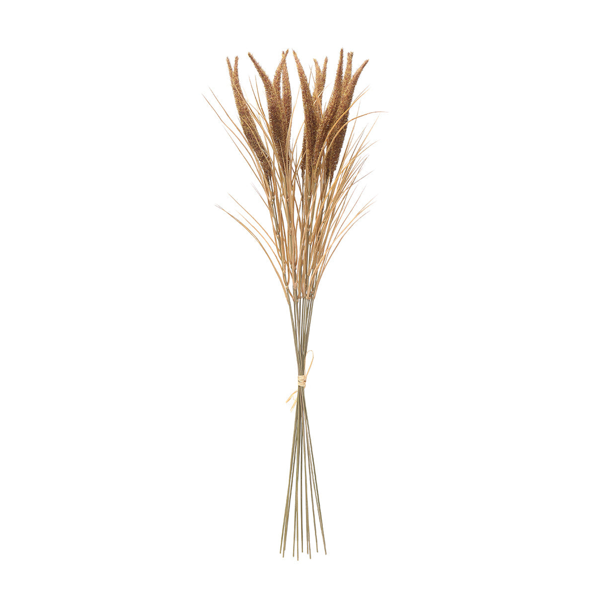 Bouquet of Pampas 12 stems 80 cm