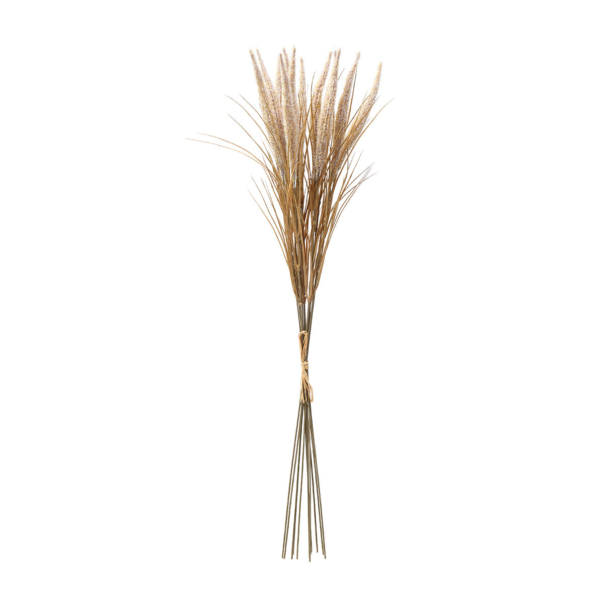 Bouquet of Pampas 12 stems 80 cm
