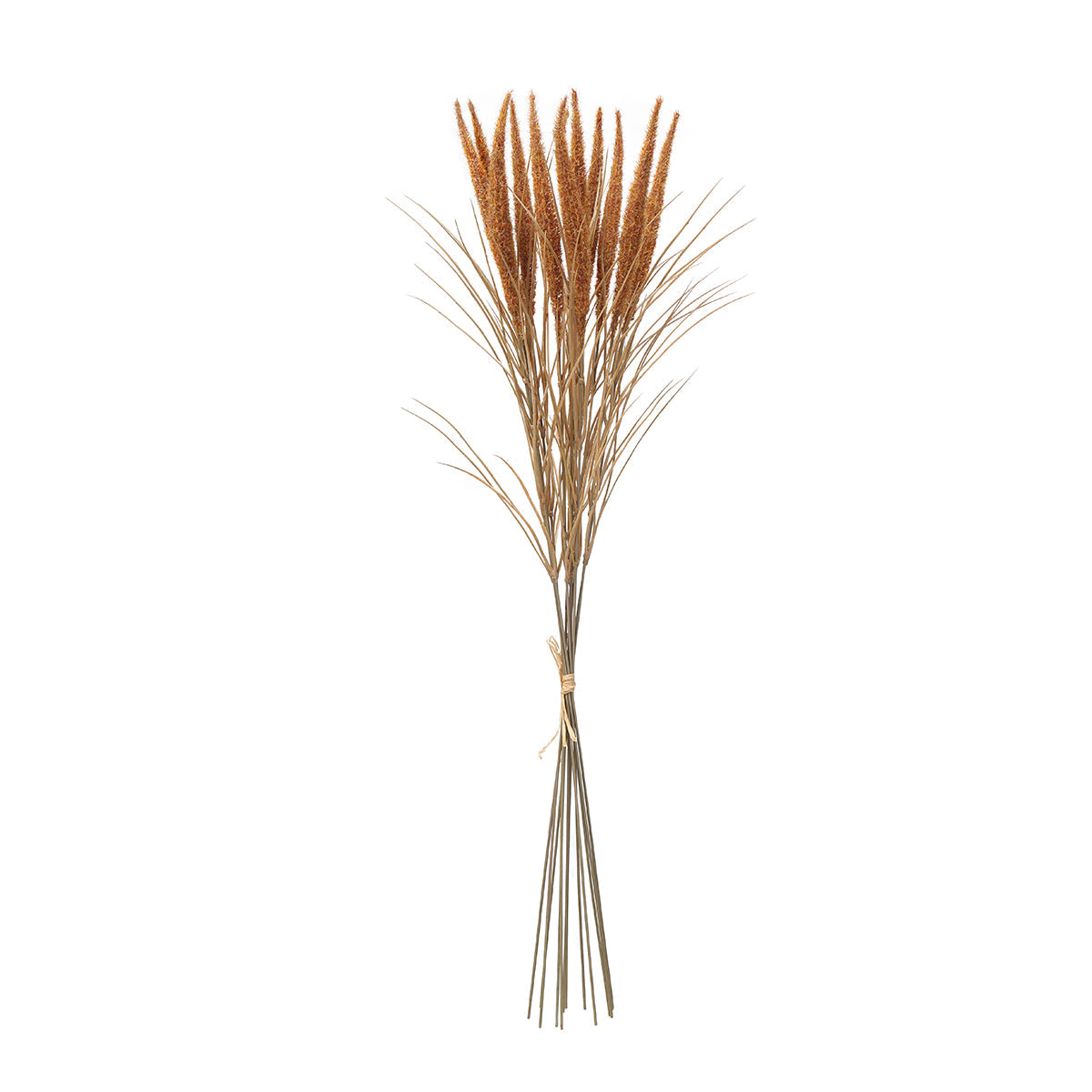 Bouquet of Pampas 12 stems 80 cm