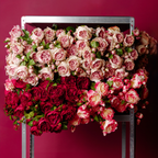 Rose David stem closed