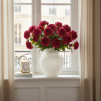 Rose David stem open