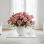 Rose David stem open