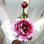 Nora buttercup stem open