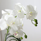 Artificial Orchid Arrangement with Vase and Beargrass 29cm