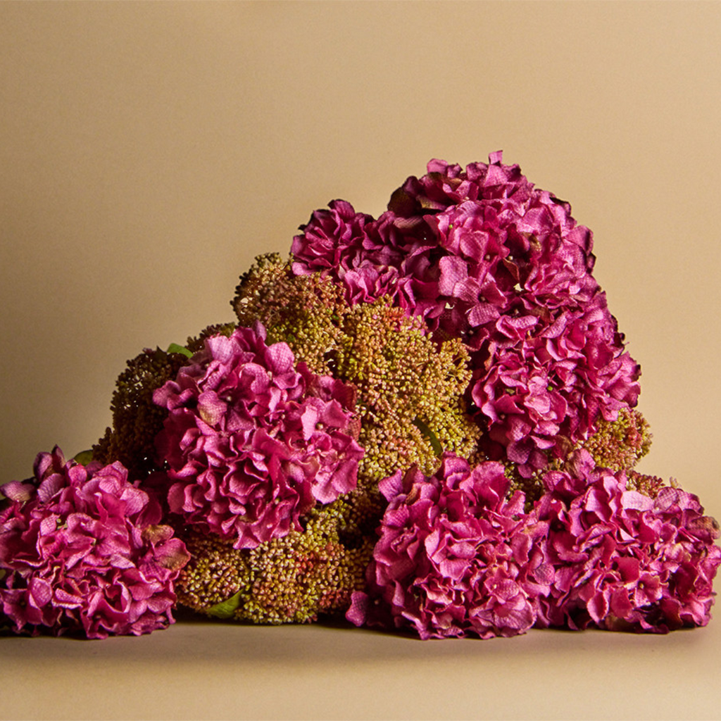 Small Format Skimmia Foliage