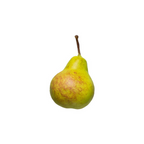 Artificial Pear