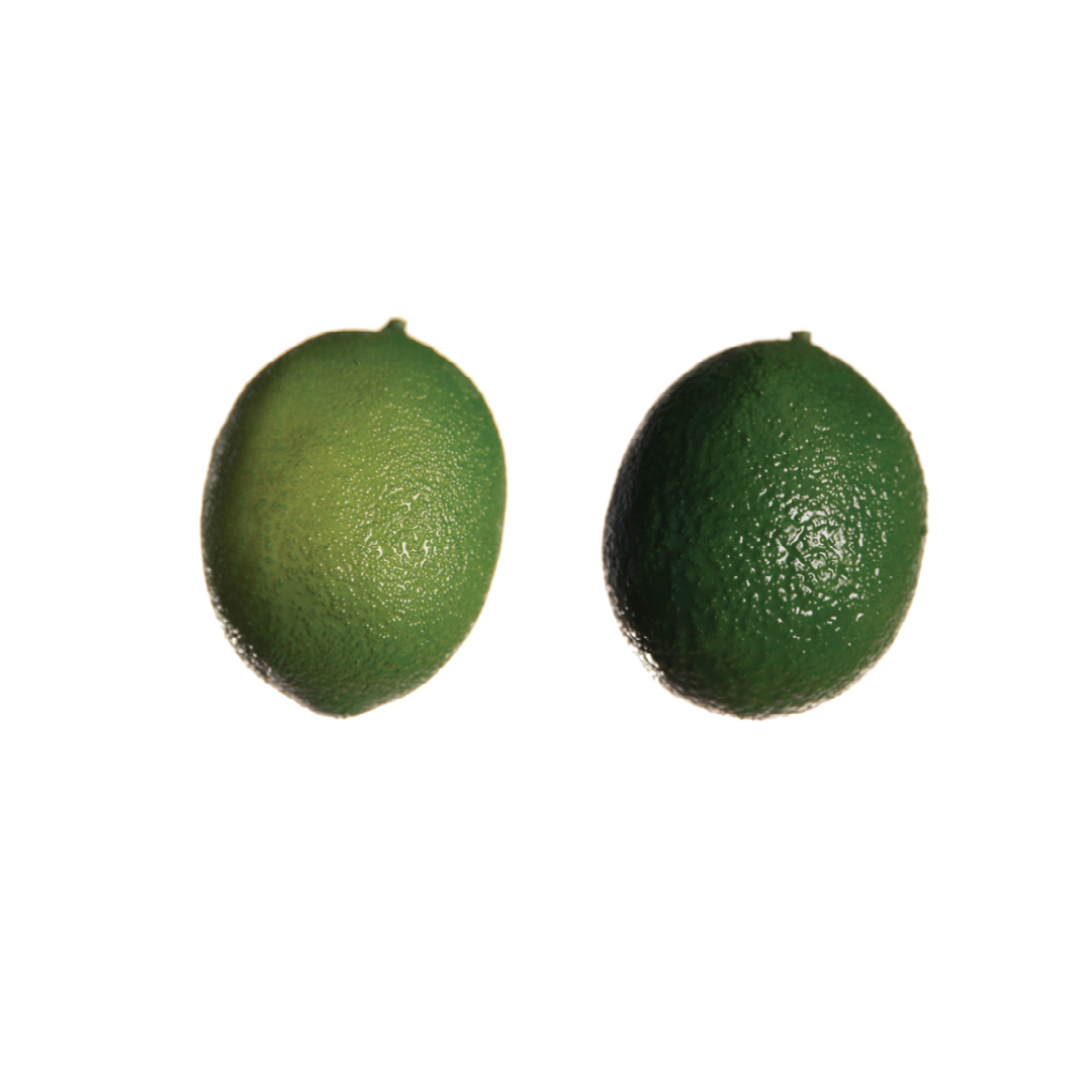 Artificial Lemon
