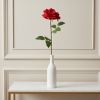 Rose Sophie stem open