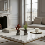 Succulent Crassula in a pot