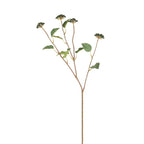 Berry Branch with Leaves