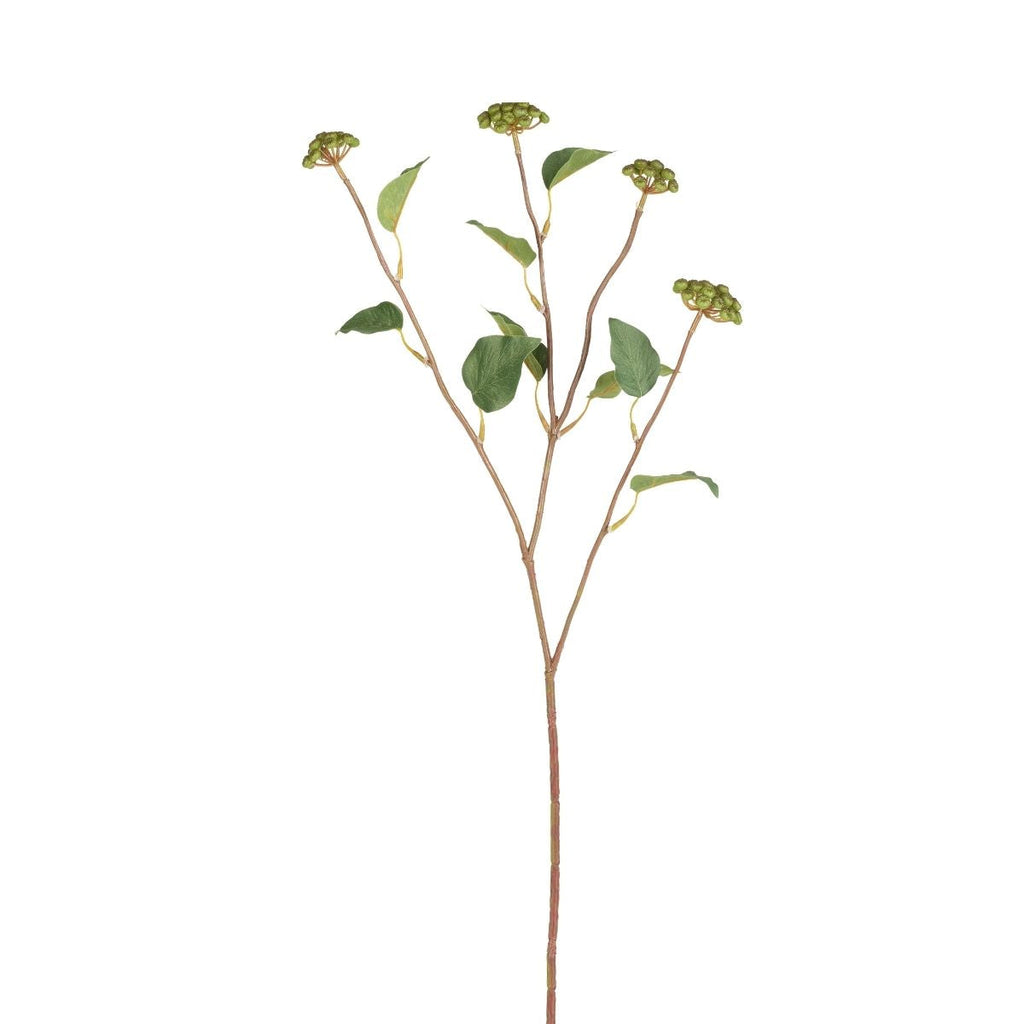 Berry Branch with Leaves