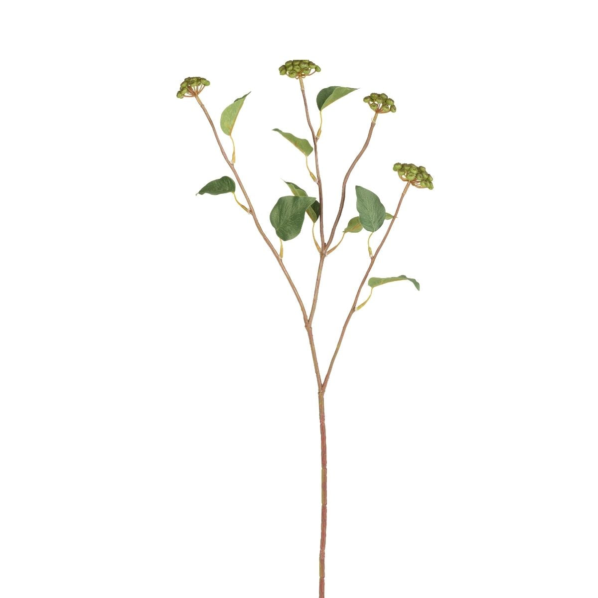 Berry Branch with Leaves