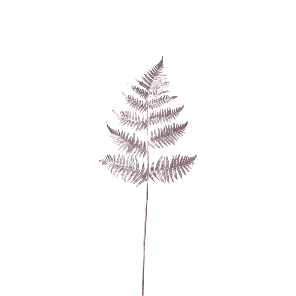 Metallic fern foliage