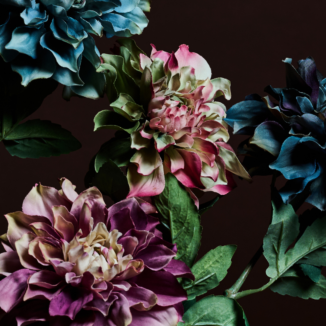 Waterlily Dahlia Stem