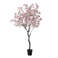 Flowering cherry tree in a pot, 245 cm