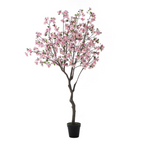 Flowering cherry tree in a pot, 245 cm