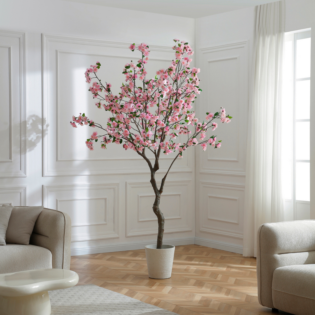 Flowering cherry tree in a pot, 245 cm