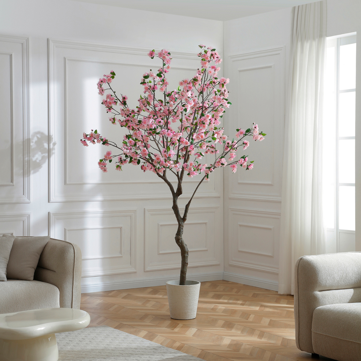 Flowering cherry tree in a pot, 245 cm