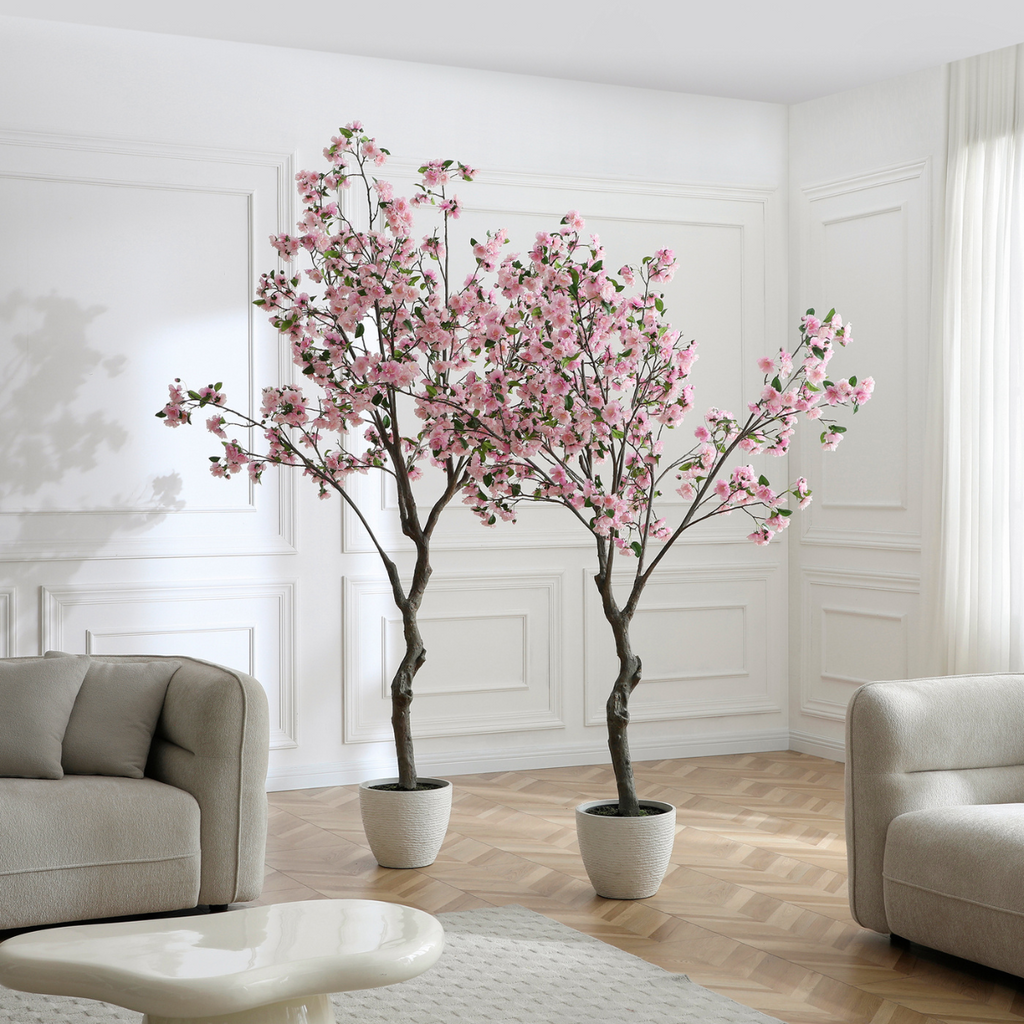 Flowering cherry tree in a pot, 245 cm