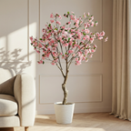 Flowering cherry tree in a 210cm pot