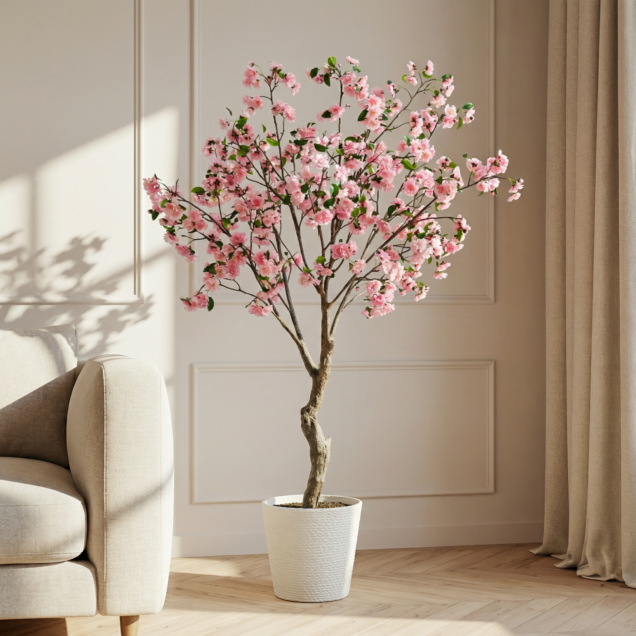 Flowering cherry tree in a 210cm pot