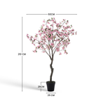 Flowering cherry tree in a 210cm pot