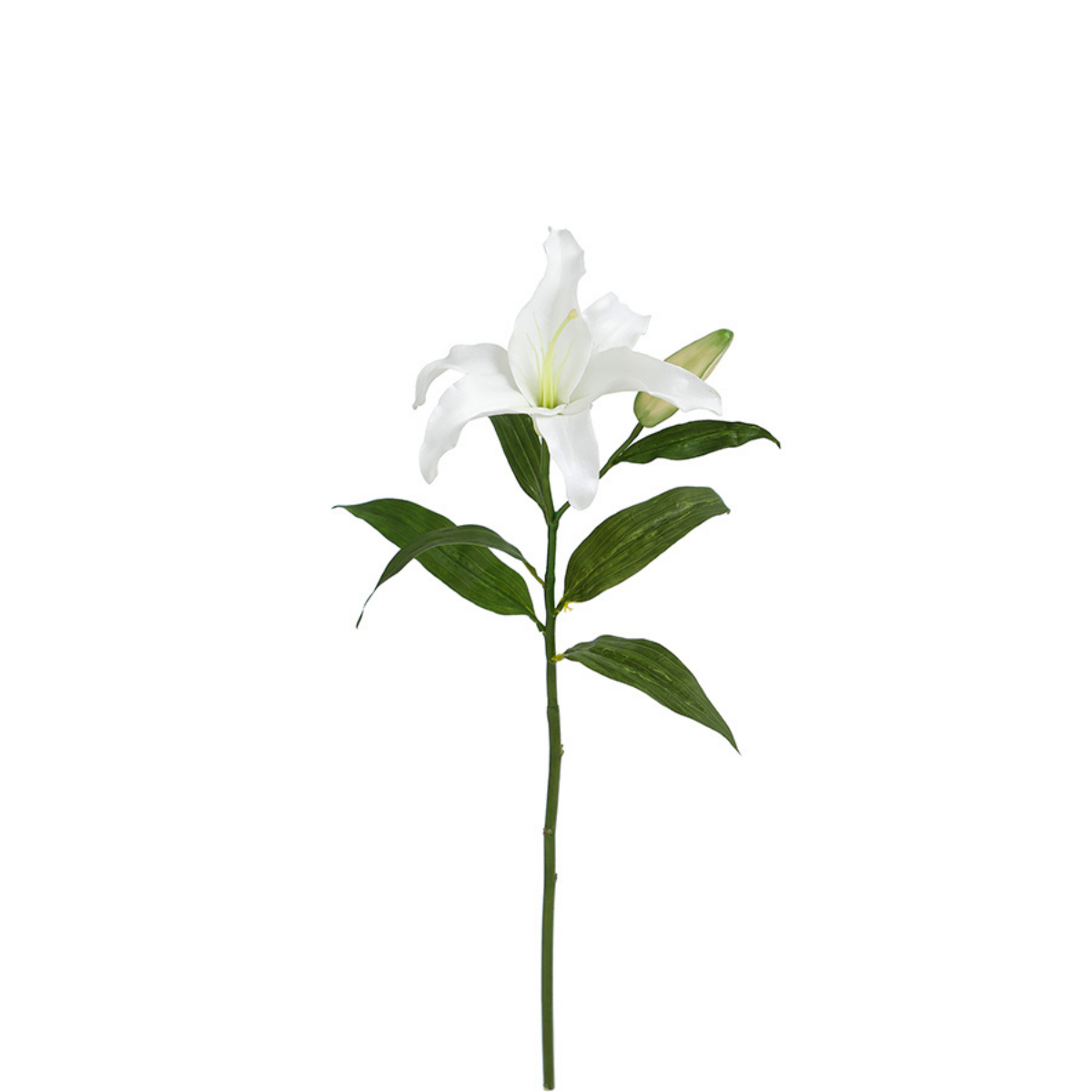 Premium Casablanca Lily Stem 65 cm