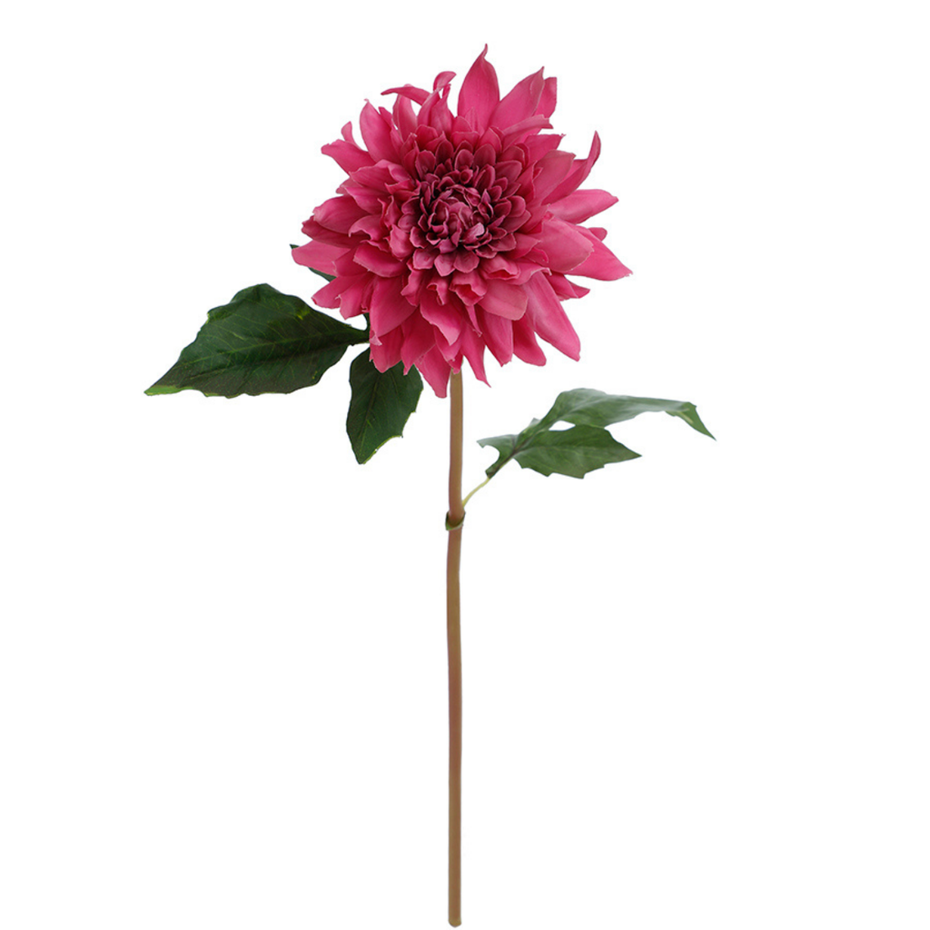 Premium Dahlia Stem 50cm