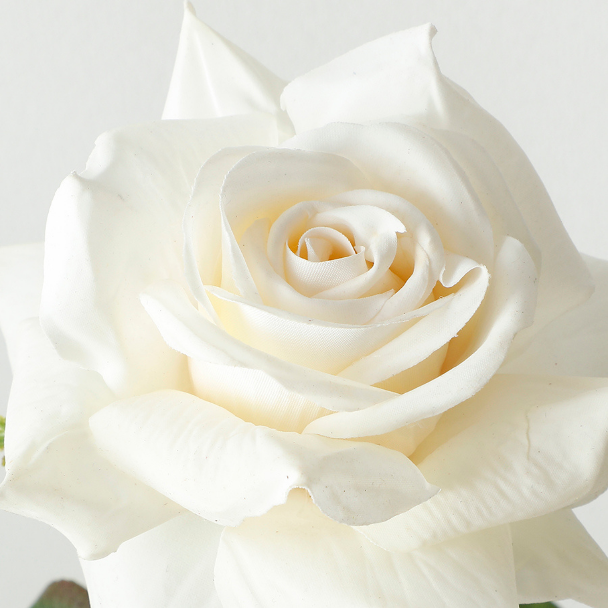 Premium Open Rose Stem 50cm