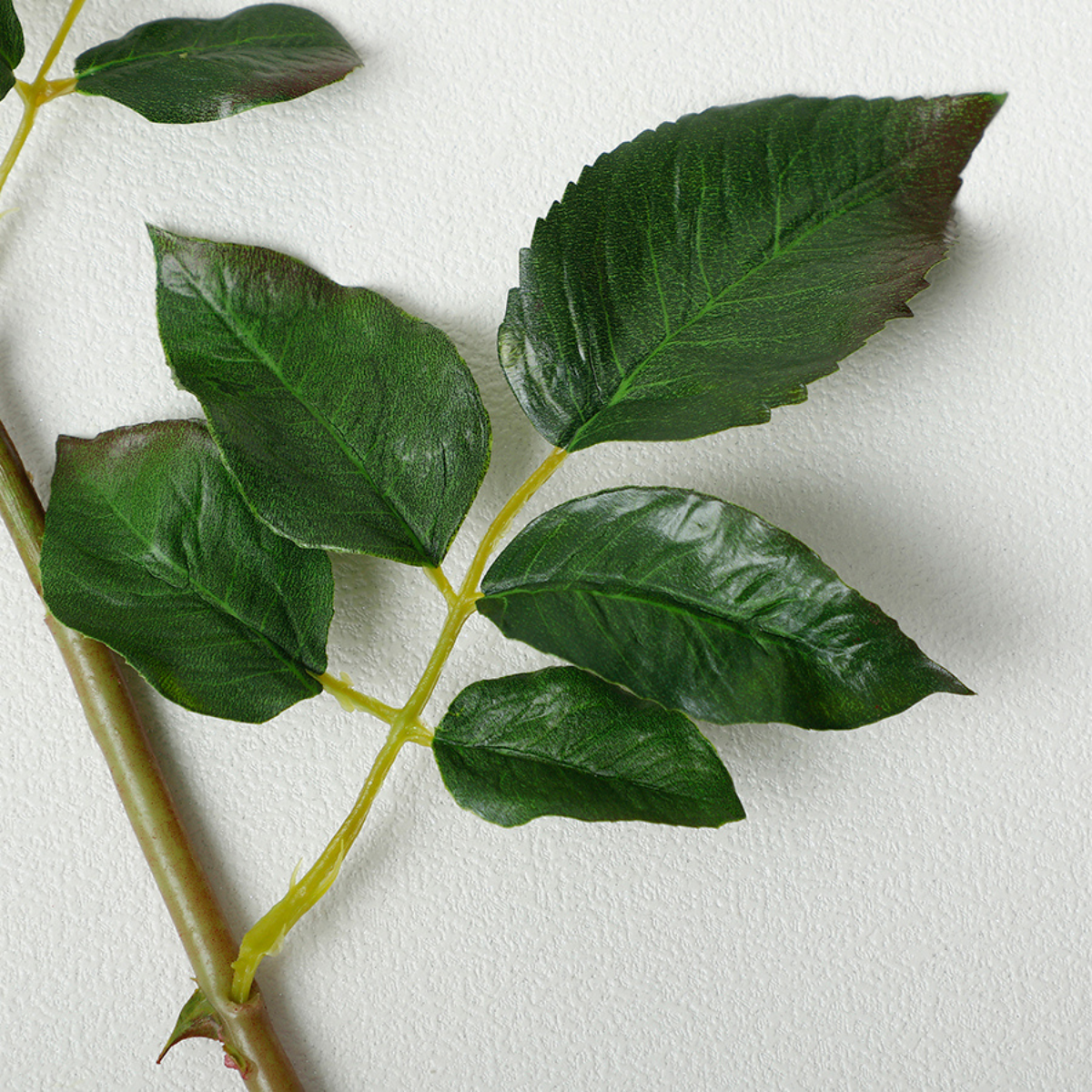 Premium Open Rose Stem 50cm