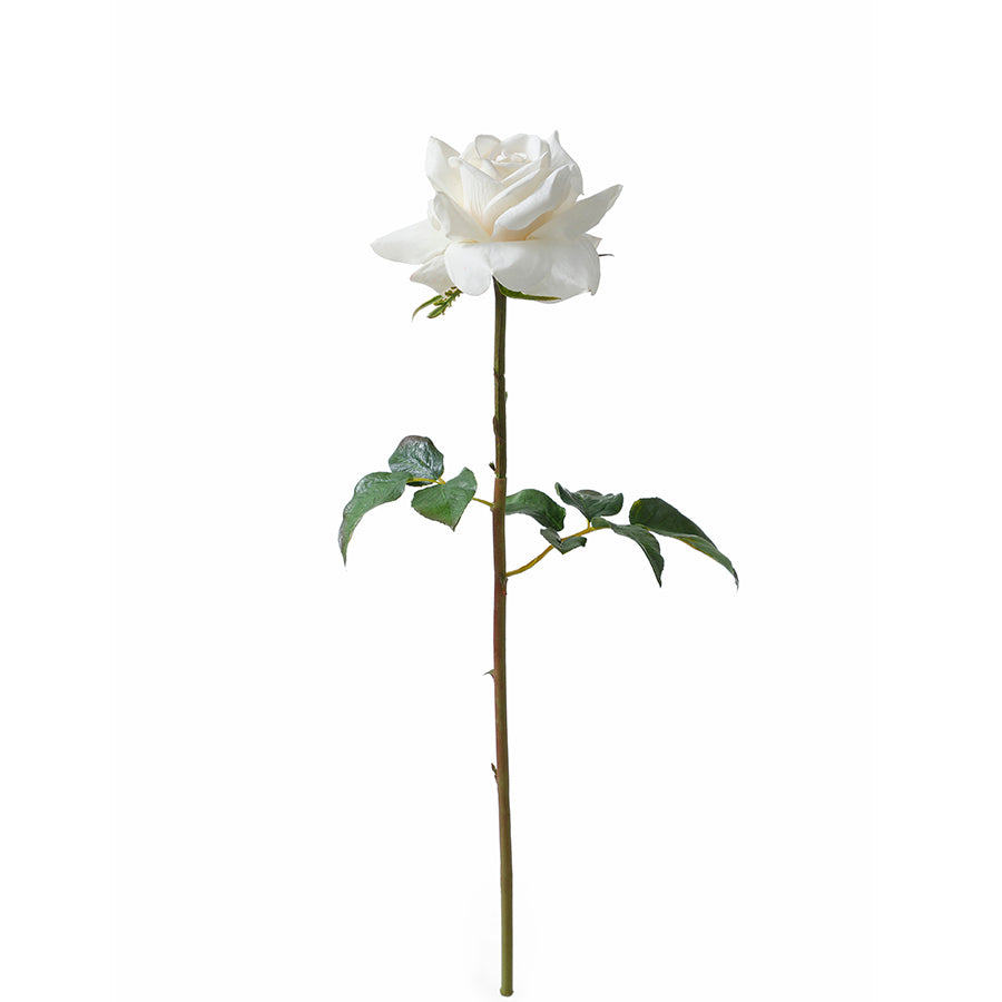 Premium Open Rose Stem 50cm