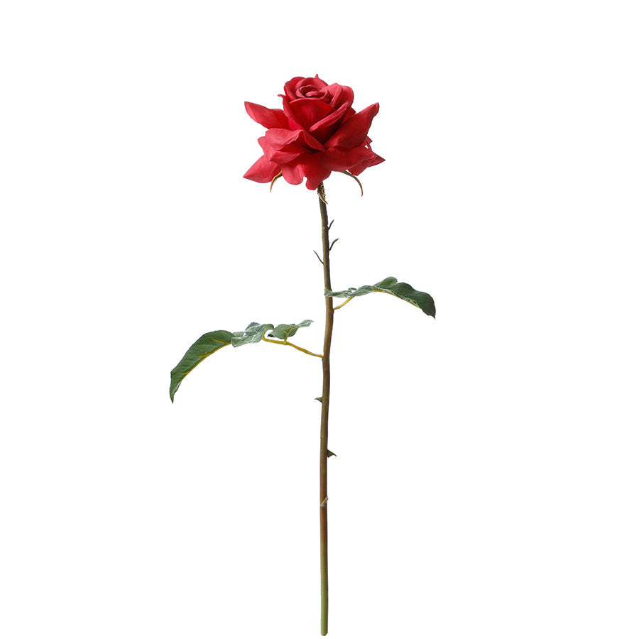 Premium Open Rose Stem 50cm