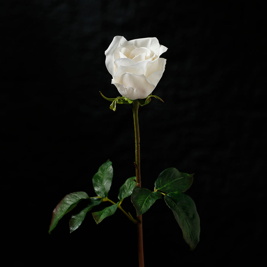 Premium Closed Rose Stem 50cm