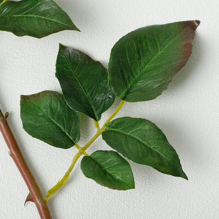 Premium Closed Rose Stem 50cm