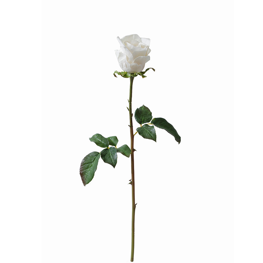 Premium Closed Rose Stem 50cm
