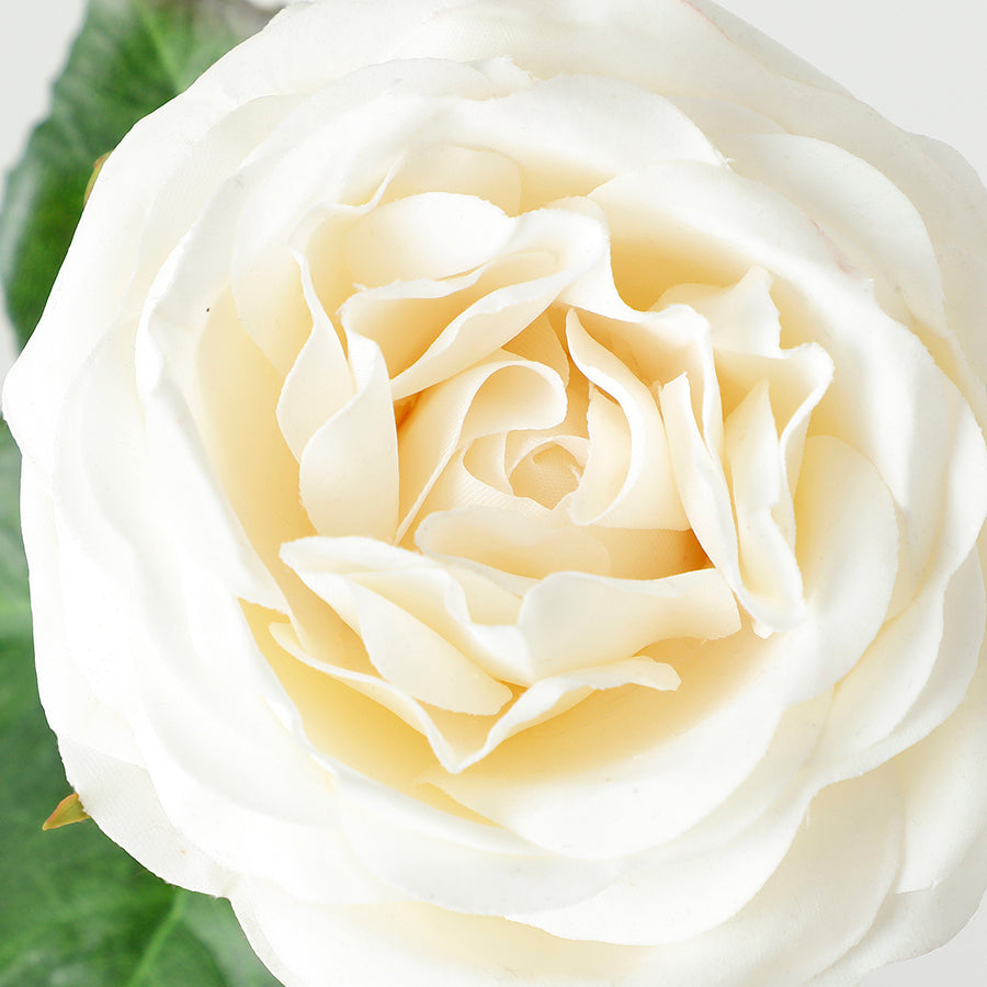 Open rose stem with premium buds, 55cm