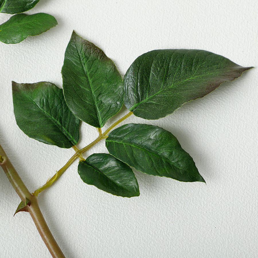 Open rose stem with premium buds, 55cm