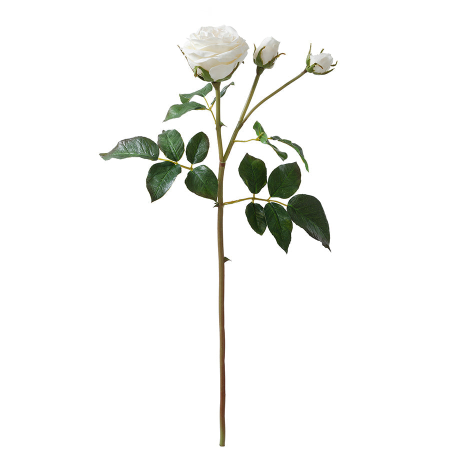 Open rose stem with premium buds, 55cm