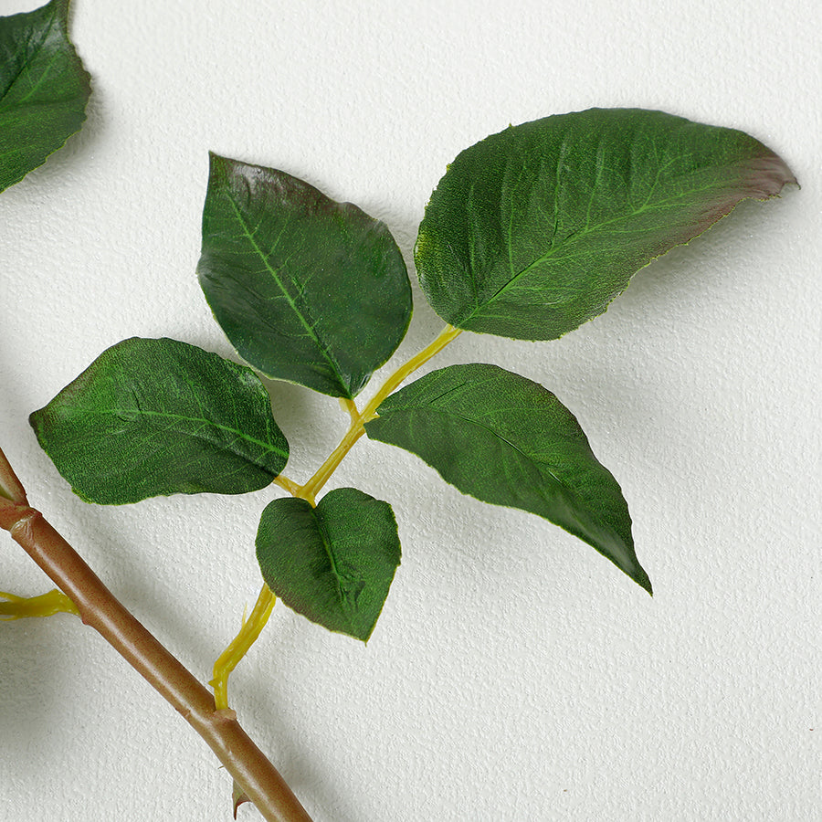 Open rose stem with premium buds, 55cm