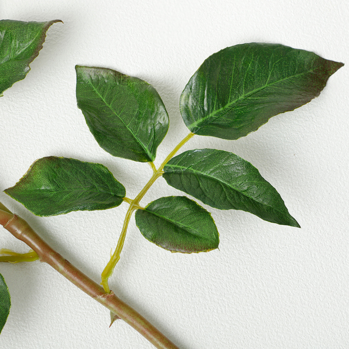 Open rose stem with premium buds, 56cm