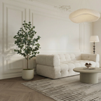 Eucalyptus in a 150 cm pot