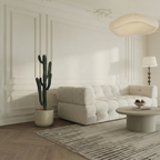 Cereus cactus in a 98 cm pot