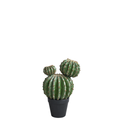 Round cactus in a pot, 32 cm
